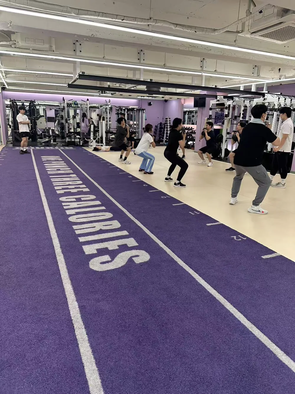 Purple custom gym turf lane with distance markings and branded text